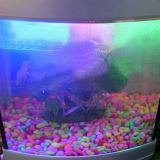 30 LED Colorful Aquarium Fish Tank Garden Pool LED Light Lighting Bar 