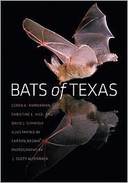   Texas by Christine L. Hice, David J. Schmidly and Loren K. Ammerman