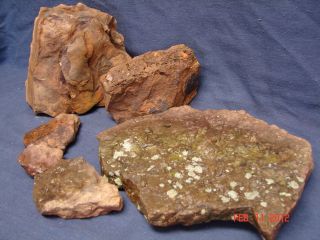   Natural Mountain Rocks Stones Cave Reptile Aquarium Decorations