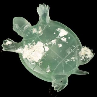 100 Natural Australian Jade Chrysoprase Turtle Carving
