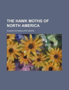   Hawk Moths of North America New by Augustus Radclif 1154495086