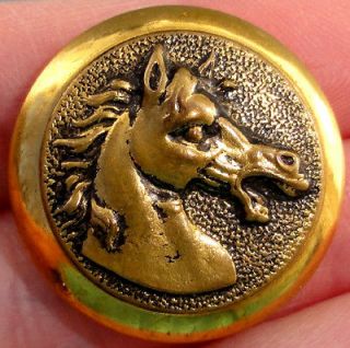   HUNTING/ SPORTING PICTURE BUTTON~ Spirited HORSE~ PARIS Backmark