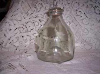 Antique Wasp Catcher Primitive Bee or Fly Trap Glass Bottle with Cork 