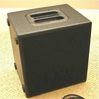   10 250P BASS CAB MINI SUBWOOFER CABINET W GIGBAG MADE IN GERMANY RARE