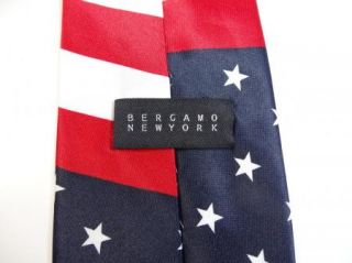 Patriotic US Flag USA American Bergamo Stars & Stripes Neck Tie Mens 