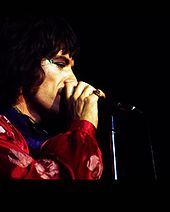 Jagger on stage, with the Rolling Stones on American tour