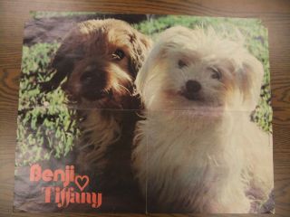 Benji & Tiffany 1974 Poster 16 x 21 Inches Xerox Education 