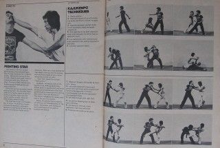RARE 11 79 Inside Kung Fu Bruce Lee Joe Lewis Black Belt Karate 