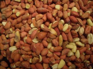 5lbs Raw Valencia Peanuts Shelled Bird Food Treat