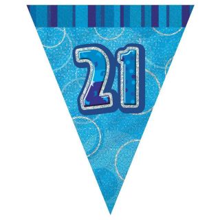 21st Birthday Party Decorations Flag Banner Bunting Blue
