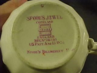 spode billingsley rose cup saucer this is a nice cup and saucer by 