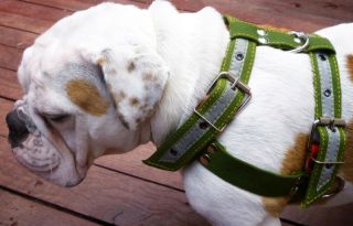 Heavy Duty Pulling Working Dog Harness Cotton x Large