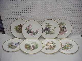 Complete Set of 8 English Porcelain Boehm Woodland Birds Of America 
