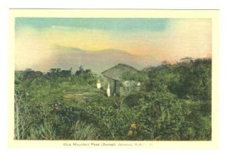 Blue Mountain Peak at Sunset Jamaica British West Indies Postcard
