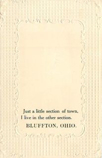 Oh Bluffton Little Section of Town 1911 Early T2508