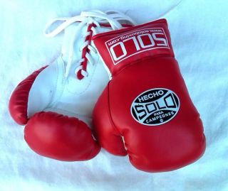 Kid Youth Solo Boxing Gloves Cleto Reyes Everlast Grant