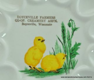 Vtg Boyceville Farmers Co Op Wisconsin Wi Advertising Deviled Egg 