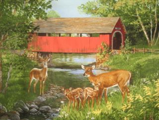 Take a Look at this Gorgeous Covered Bridges by Persis Clayton Weirs 