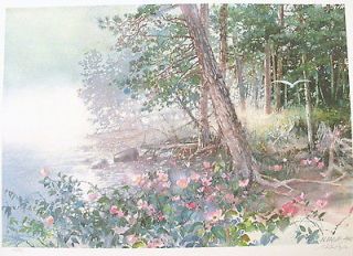 nita engle wild rose point s n limited edition print