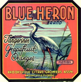 Blue Heron Citrus Crate Label Brooksville Florida Bird