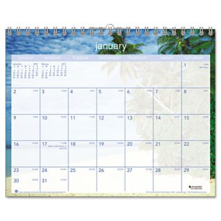 AT A GLANCE Tropical Escape Monthly Wall Calendar, 15 x 12, 2012