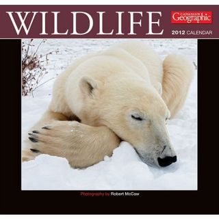 New 2012 Wildlife Wild Animals Wall Calendar B54