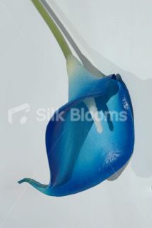 Colour Tipped Calla Lily, Artificial Colourful Lilies, Real Touch, All 