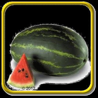 Carolina Cross Watermelon 10 Seeds Tasty E Z Grow Sweet 1162 on PopScreen
