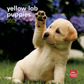 Yellow Lab Puppies 2013 Mini Wall Calendar