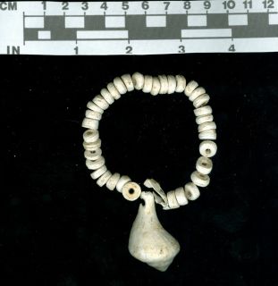  Miniature CADDO Conch Shell Necklace Arkansas