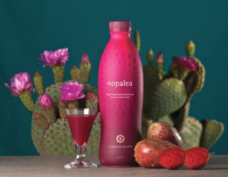 Cactus Juice Natural Anti Inflammatory and Antioxidant Drink Nopalea 