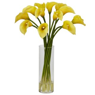 the calla lily is a centuries old favorite that hails from african 