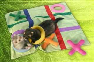   Play Toys Ferret Bedding Cage Accessories Hanging Items