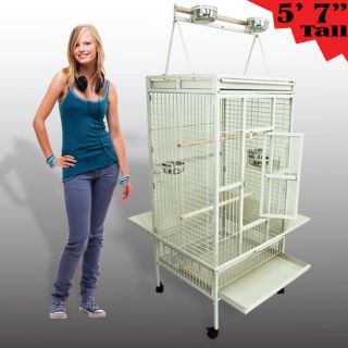   White Cockatiel Parakeet Finch Cage Playtop Gym Perch Stand