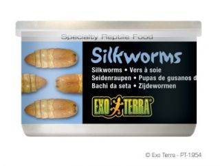 exo terra reptile medium silkworms canned food 2 4oz