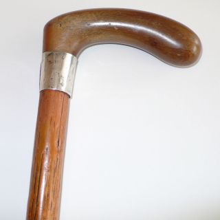Cane Walking Stick Antique Horn Handle Silver Mounting