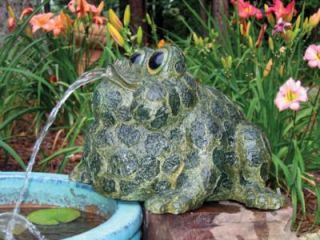 Frog Garden Statue Michael Carr Ralph Spitter Frog Yard Decor 12 5x9 