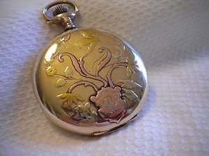   Enameled Dial Elgin 17 Jewel H.C. Pocket Watch with Multi Colored Case