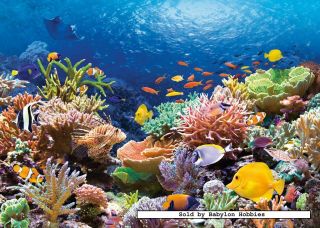 Castorland 1000 pieces jigsaw puzzle Coral Reef Fishes (101511)