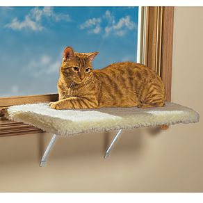 Pet Cat Perch Window Seat with Plush Warm Padded Cover