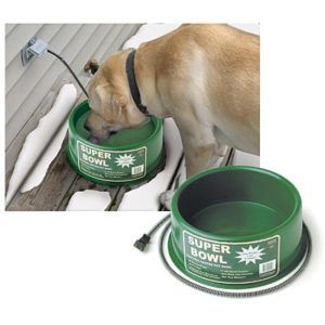 Premium Heated Dog Cat Water Bowl 1 Gallon New