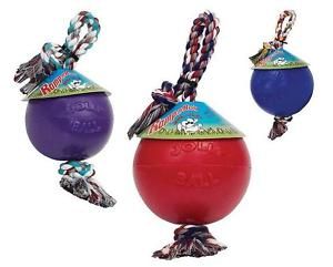 Romp N Roll 8 Ball Floats Jolly Pets Water Dog Toy