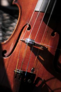 String Bling Finest Swarovski Violin Tourte Mute Classic