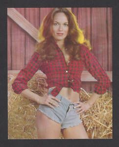 Catherine Bach Dukes of Hazzard Collector Photo Card