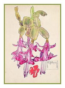 Flowering Cactus Charles Rennie Mackintosh Counted Cross Stitch Chart 