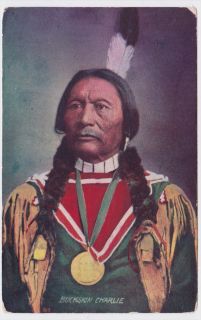 Buckskin Charlie Native American 1909 Rally Day Advertising Postcard 