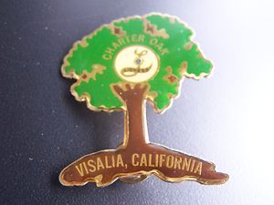 Lions Club Pin Charter Oak Lioness Visalia California