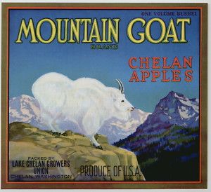 Mountain Goat Vintage Lake Chelan Apple Crate Label