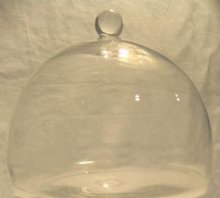   Dome Cloche Display Cup Cakes Desserts Cheese Plate Food Cover