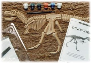 Rex Trex Skeleton Dinosaur Model Kit Science Project